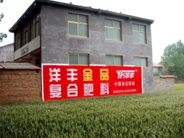 瑞昌如何让墙体广告展现最大化效果