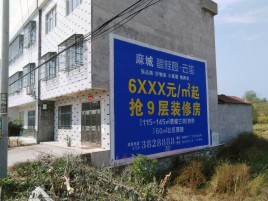 瑞昌墙体广告质量分析